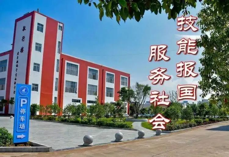 實(shí)訓(xùn)實(shí)習(xí)