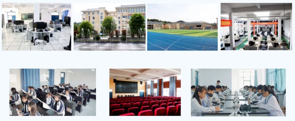 實訓(xùn)實習(xí)